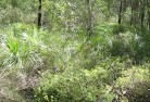 Kangaroo Creeksustainable-landscaping-21.jpg; ?>